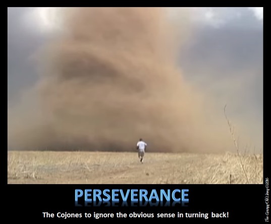 Perseverance - A Motivational Poster