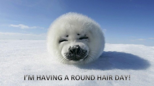 I'm Having A Round Hair Day