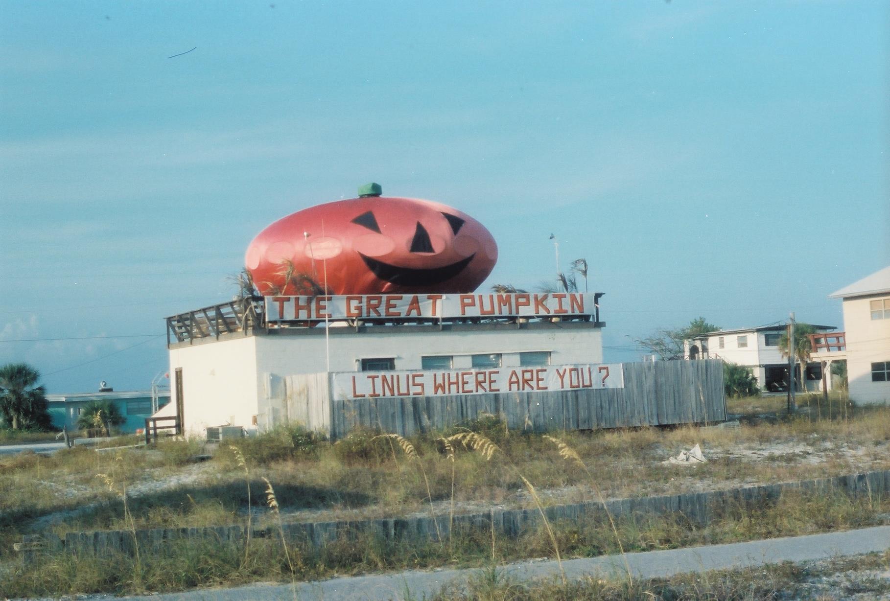 Futuro, Pensacola Beach, Florida, USA - Pumpkin